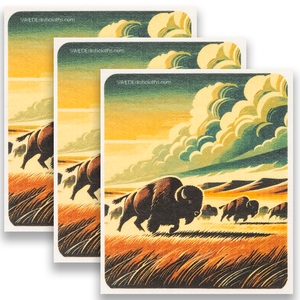 Eco-Friendly Swedish Dishcloths - Colorful Bison Set of 3 (Paper Towel Replacements)
