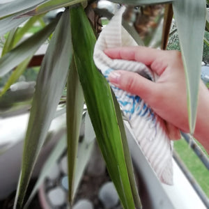 Swedish Dishcloths Hannukah Menorah Set of 3 cloths Eco Friendly Absorbent Cleaning Cloth